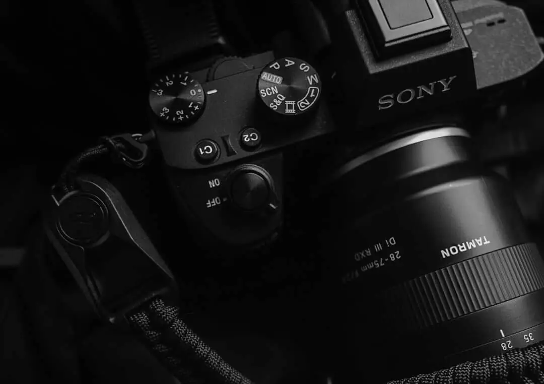 Which Camera Will Survive? Sony a1, Nikon Z9 and Canon R3
